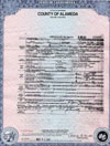 Death Certificate Page 1